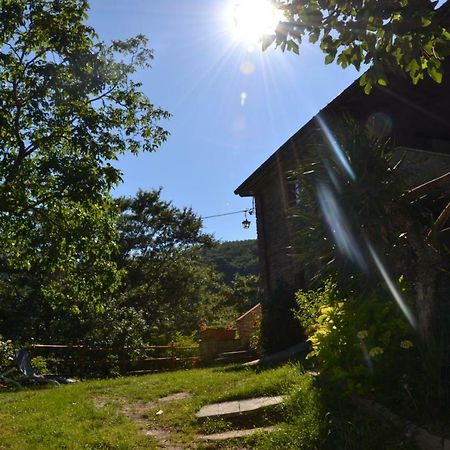 B&B Il Palazzo Sansepolcro Dış mekan fotoğraf