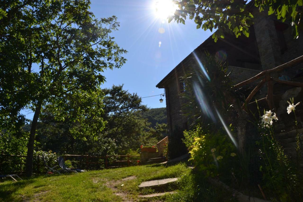 B&B Il Palazzo Sansepolcro Dış mekan fotoğraf