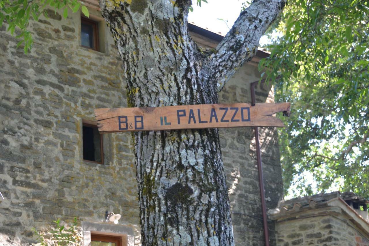 B&B Il Palazzo Sansepolcro Dış mekan fotoğraf