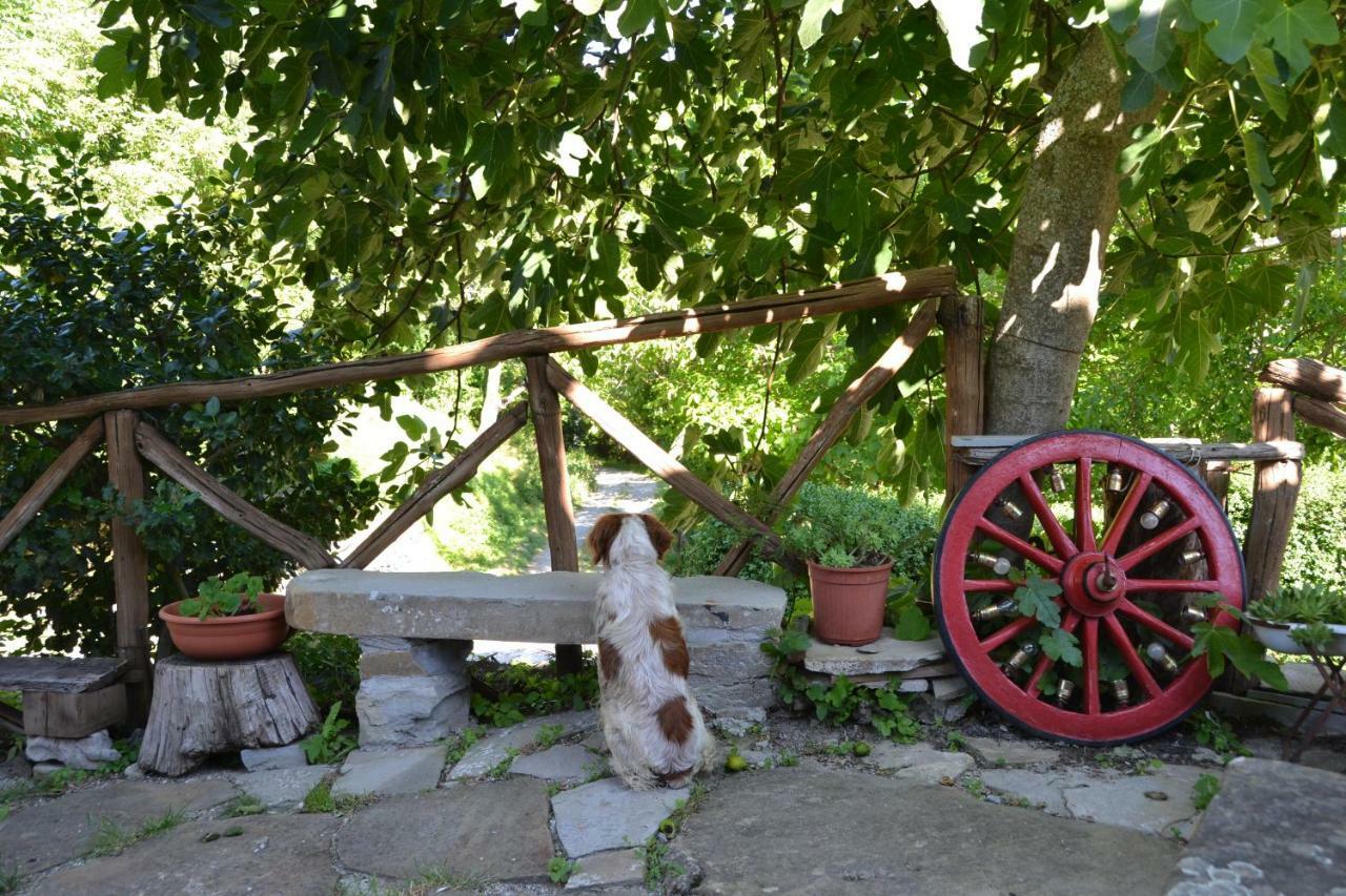 B&B Il Palazzo Sansepolcro Dış mekan fotoğraf